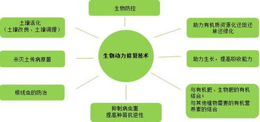 復振科技 從醫藥跨界環保的“野蠻人”，如何在環境科技領域開疆拓土？