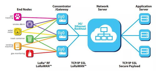 LoRa vs NB-IoT 一場物聯(lián)網(wǎng)時(shí)代C位爭奪戰(zhàn)